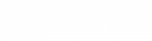 1lepu motor